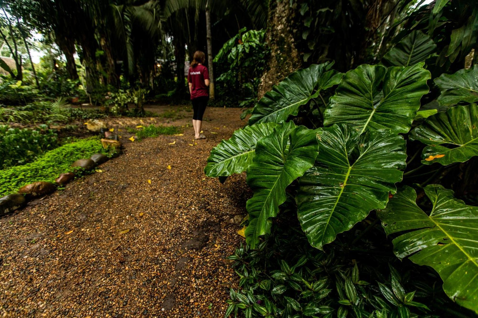 Kapievi Ecovillage Puerto Maldonado Extérieur photo